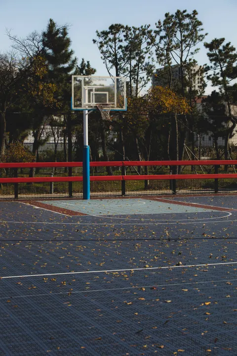 Basketball Phone Wallpaper · sport · 1440×2160