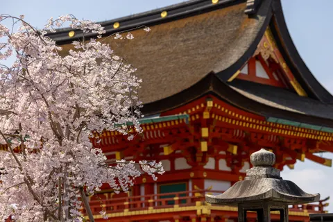 Japanische Pagode 4K Hintergrundbild · architecture · 3840×2561