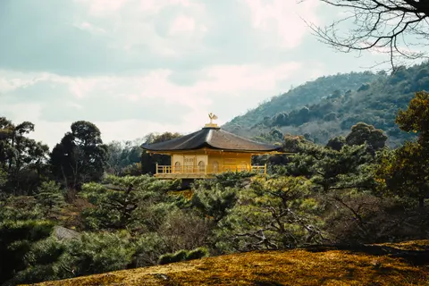 Japanese Pagoda 4K Wallpaper · architecture · 3840×2560