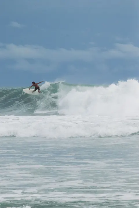 Surfing Phone Wallpaper · sport · 1440×2160