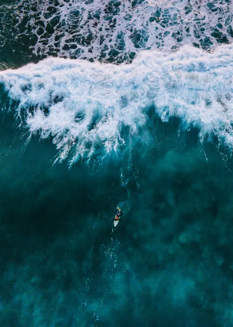 Surfing Phone Wallpaper · sport · 1440×2016