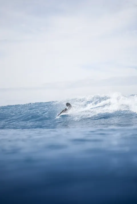 Surfing Phone Wallpaper · sport · 1440×2147