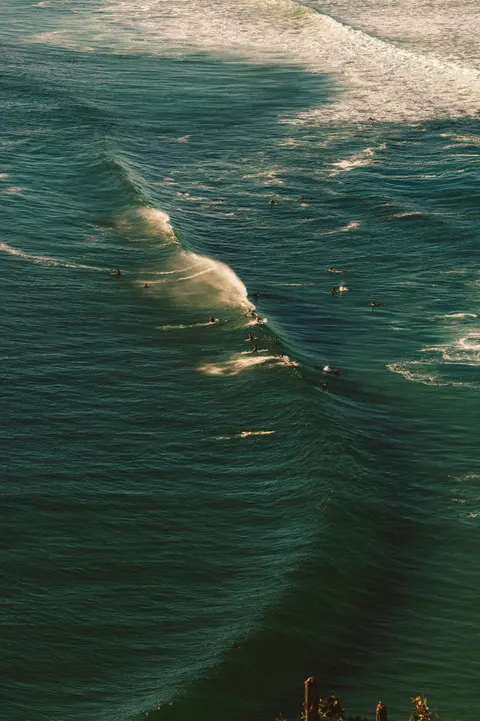 Surfing Phone Wallpaper · sport · 1440×2160