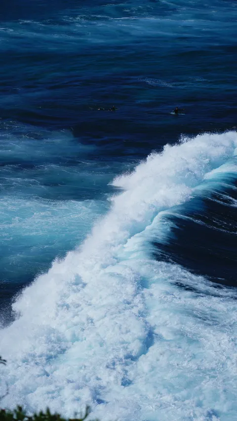 Surfing Phone Wallpaper · sport · 1440×2559