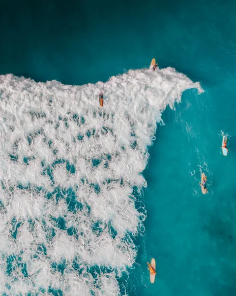 Surfing Phone Wallpaper · sport · 1440×1800