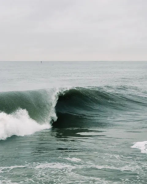 Surfing Phone Wallpaper · sport · 1440×1800
