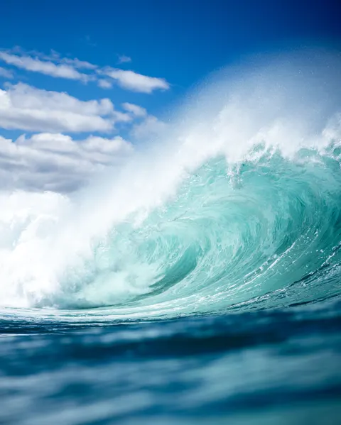 Surfing Phone Wallpaper · sport · 1440×1800