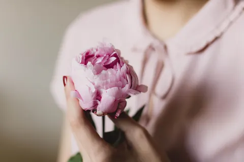 Sfondo Peonia 4K · flowers · 3840×2560