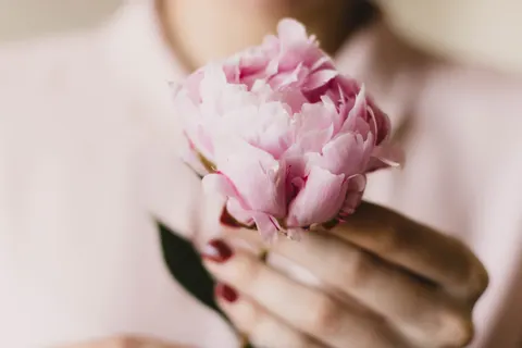 牡丹 4K桌布 · flowers · 3840×2560