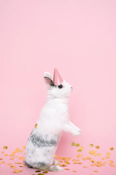 Bunny Phone Wallpaper · pets · 1440×2160