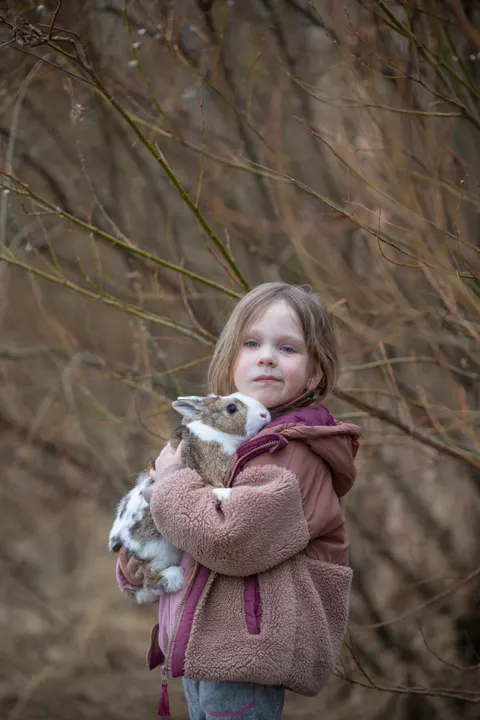 Bunny Phone Wallpaper · pets · 1440×2160