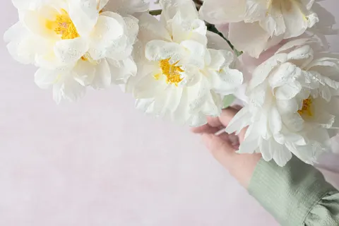 Обои Пион 4K · flowers · 3840×2560