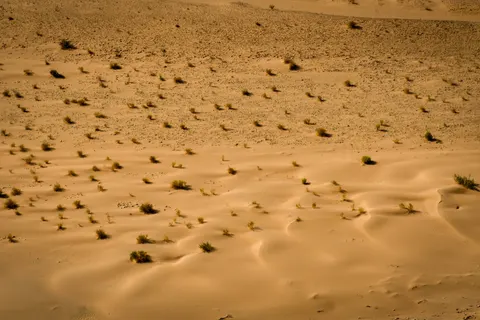 Çöl Kumulları 4K Duvar Kağıdı · nature · 3840×2560