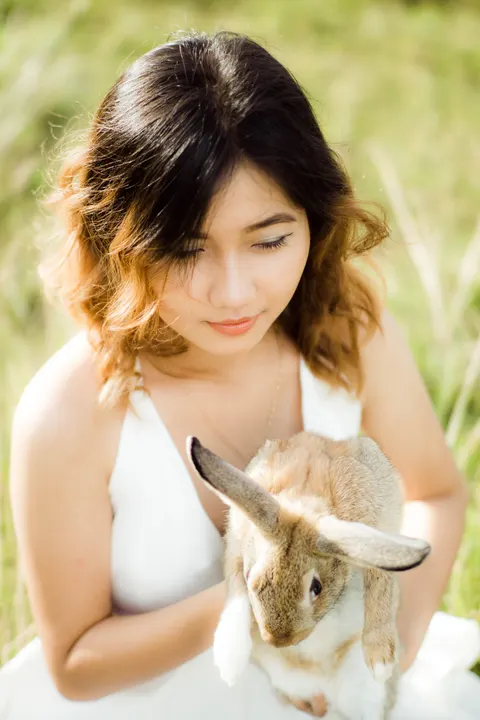 Bunny Phone Wallpaper · pets · 1440×2160