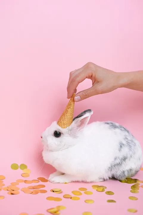 Bunny Phone Wallpaper · pets · 1440×2160