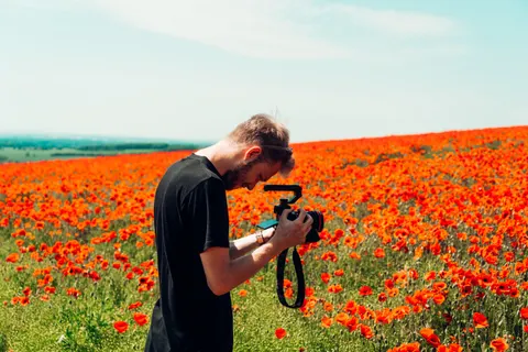 Poppy Field 4K Wallpaper · flowers · 3840×2560