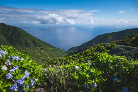 Hortensia 4K-achtergrond · flowers · 3840×2560