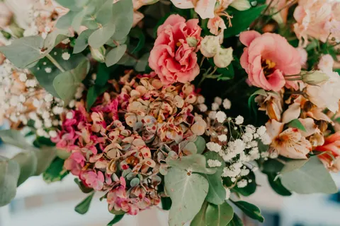 हाइड्रेंजिया 4K वॉलपेपर · flowers · 3840×2563