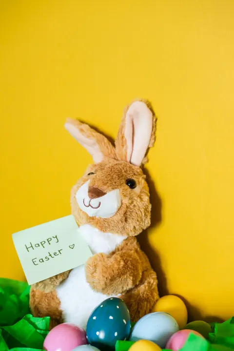 Bunny Phone Wallpaper · pets · 1440×2160