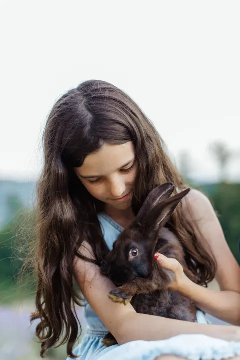Bunny Phone Wallpaper · pets · 1440×2160
