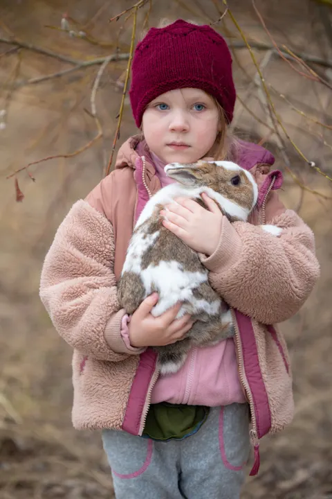 Fond d'écran mobile Lapin · pets · 1440×2160