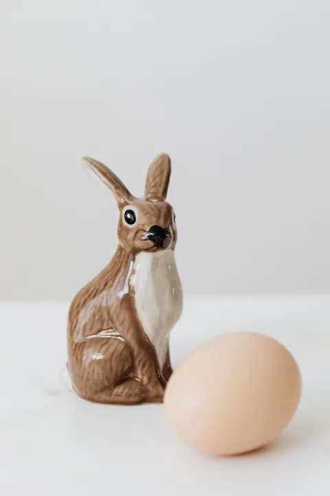 Bunny Phone Wallpaper · pets · 1440×2160