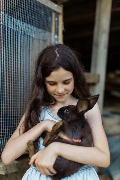 Bunny Phone Wallpaper · pets · 1440×2160