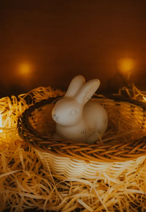 Bunny Phone Wallpaper · pets · 1440×2099