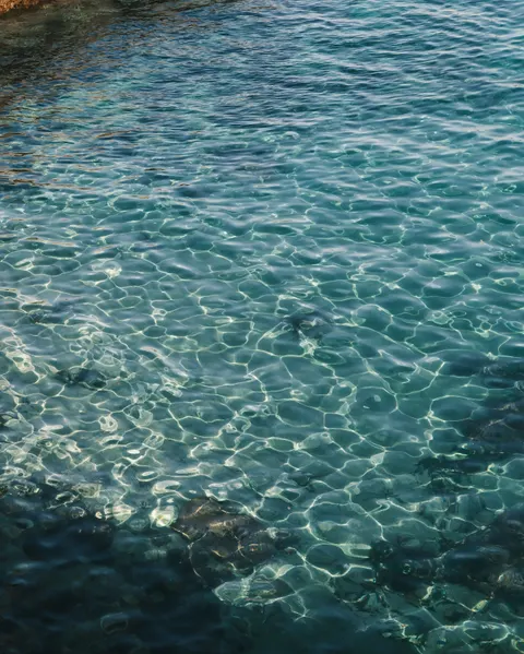 Clear Sea Phone Wallpaper · ocean_v · 1440×1798