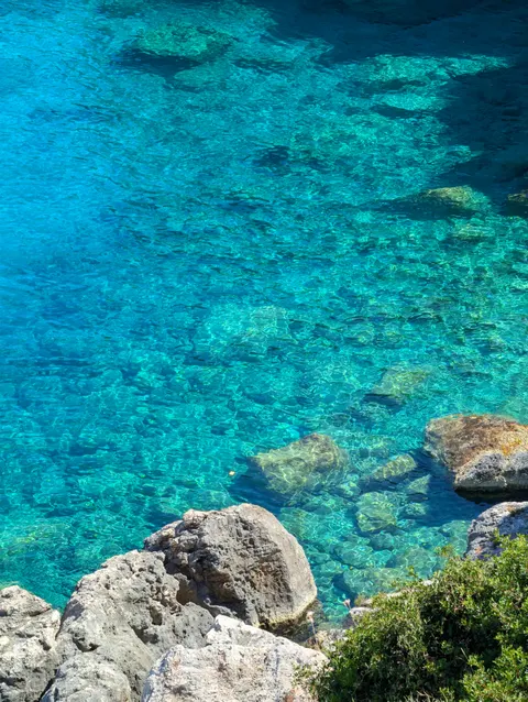 Clear Sea Phone Wallpaper · ocean_v · 1440×1913