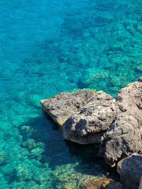 Clear Sea Phone Wallpaper · ocean_v · 1440×1913