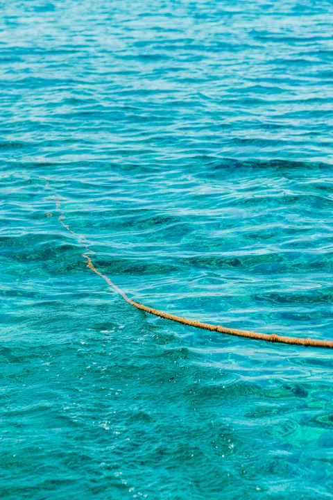 Clear Sea Phone Wallpaper · ocean_v · 1440×2160