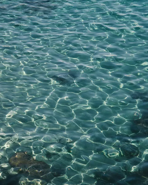 Clear Sea Phone Wallpaper · ocean_v · 1440×1798
