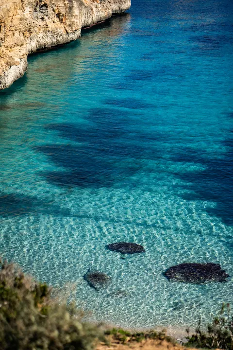 Clear Sea Phone Wallpaper · ocean_v · 1440×2160