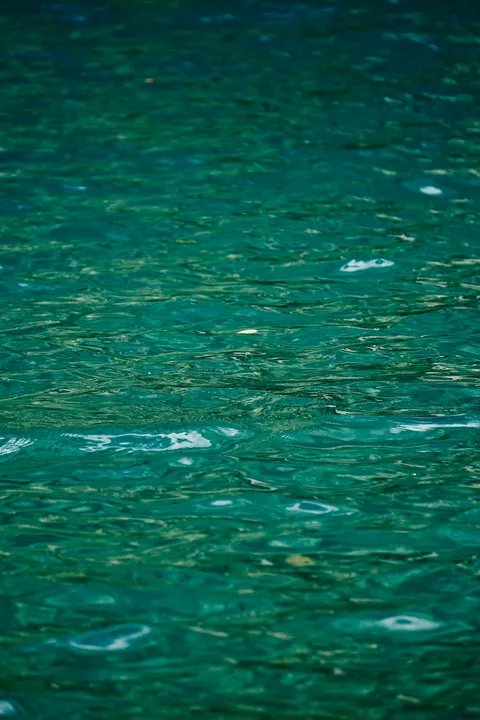 Clear Sea Phone Wallpaper · ocean_v · 1440×2160