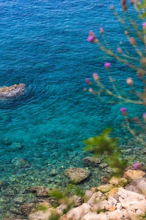 Biển Trong Xanh Hình Nền Điện Thoại · ocean_v · 1440×2160