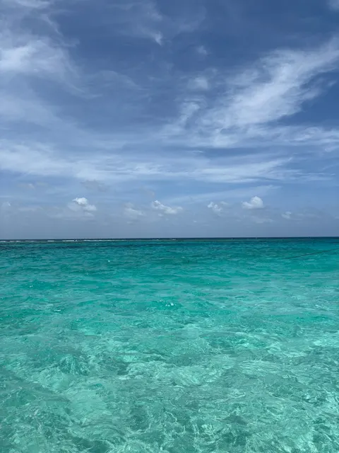 Clear Sea Phone Wallpaper · ocean_v · 1440×1920