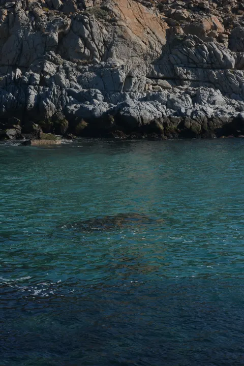 Clear Sea Phone Wallpaper · ocean_v · 1440×2160