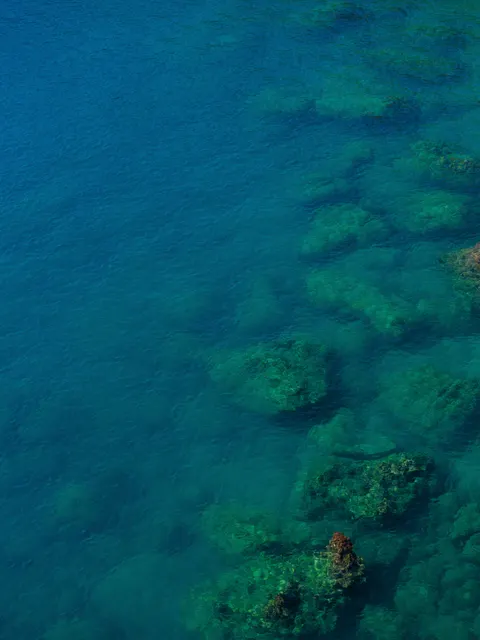 Clear Sea Phone Wallpaper · ocean_v · 1440×1920