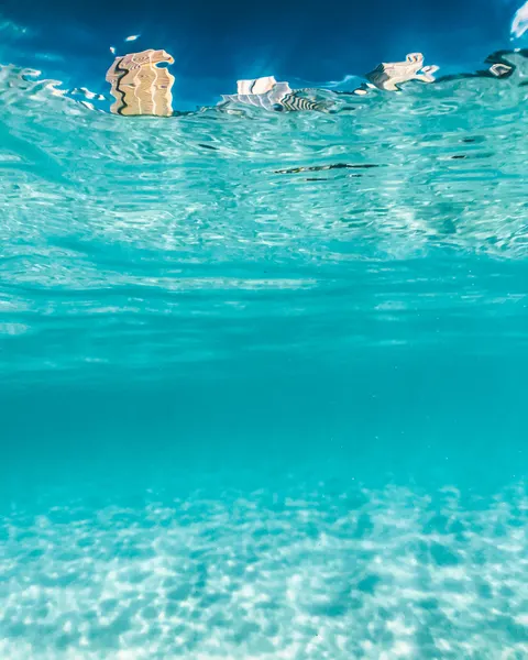 Clear Sea Phone Wallpaper · ocean_v · 1440×1800