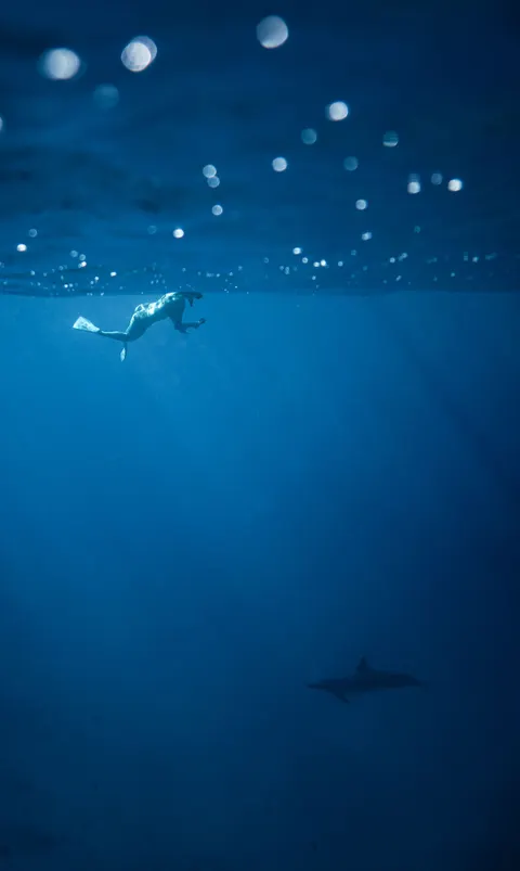 Biru Bawah Laut Wallpaper HP · ocean_v · 1440×2407