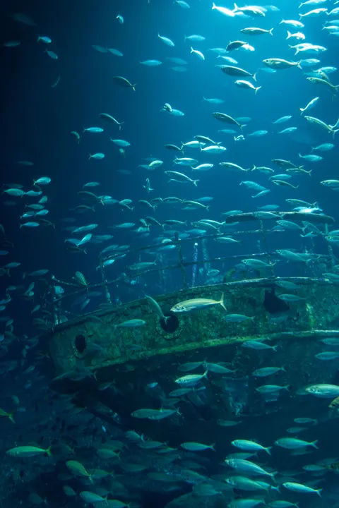 Fond d'écran mobile Bleu Sous-Marin · ocean_v · 1440×2160