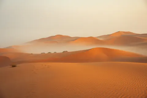 Desert Dunes 4K Wallpaper · nature · 3840×2560