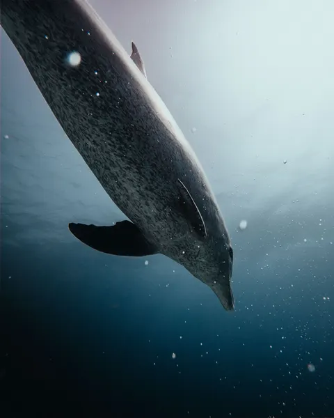 Unterwasserblau Handy-Hintergrundbild · ocean_v · 1440×1800