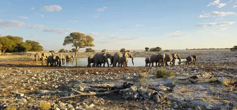 Elephant 4K Wallpaper · animals · 3840×1773