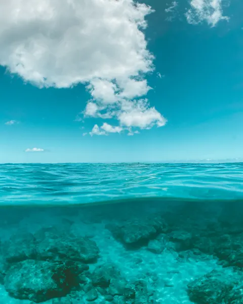 Underwater Blue Phone Wallpaper · ocean_v · 1440×1800