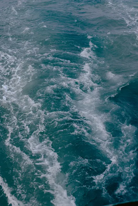 کف دریا والپیپر موبایل · ocean_v · 1440×2157