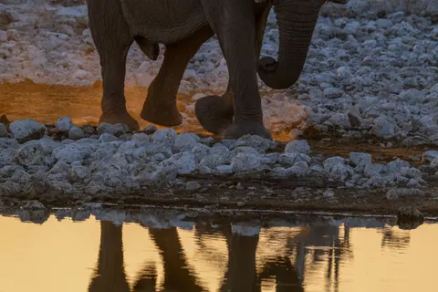 Elephant 4K Wallpaper · animals · 3840×2560