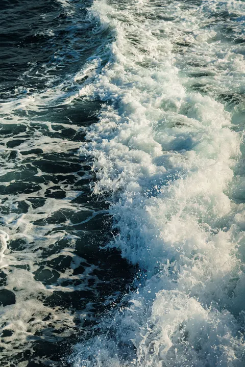 کف دریا والپیپر موبایل · ocean_v · 1440×2160