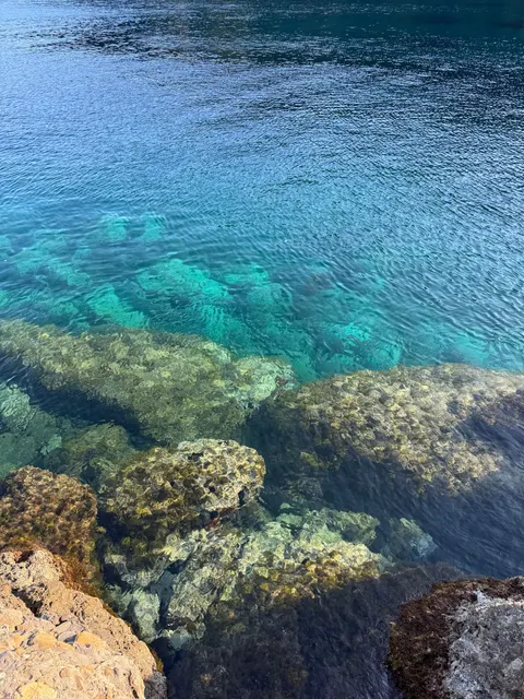 دریای شفاف والپیپر موبایل · ocean_v · 1440×1920